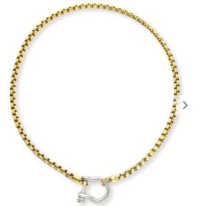 Horseshoe Closure Necklace